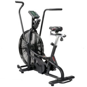 Assault Airbike