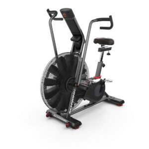 Schwinn Airdyne AD8 Motionscykel